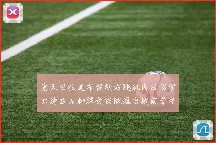 意天空报道布雷默右腿肌肉拉伤伊尔迪兹左脚踝受伤欧冠出战前景堪忧